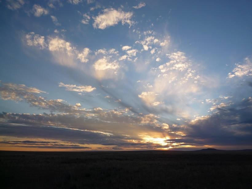 Grasslands