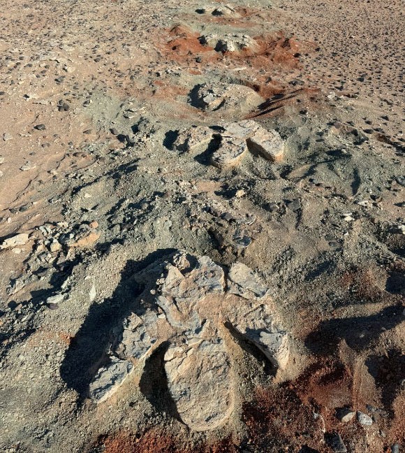 Dinosaur footprint