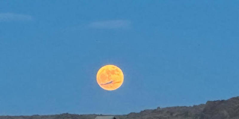 Gobi Moon