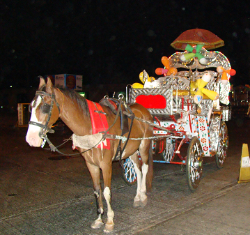 Arabic horses and carriages ply their trade 